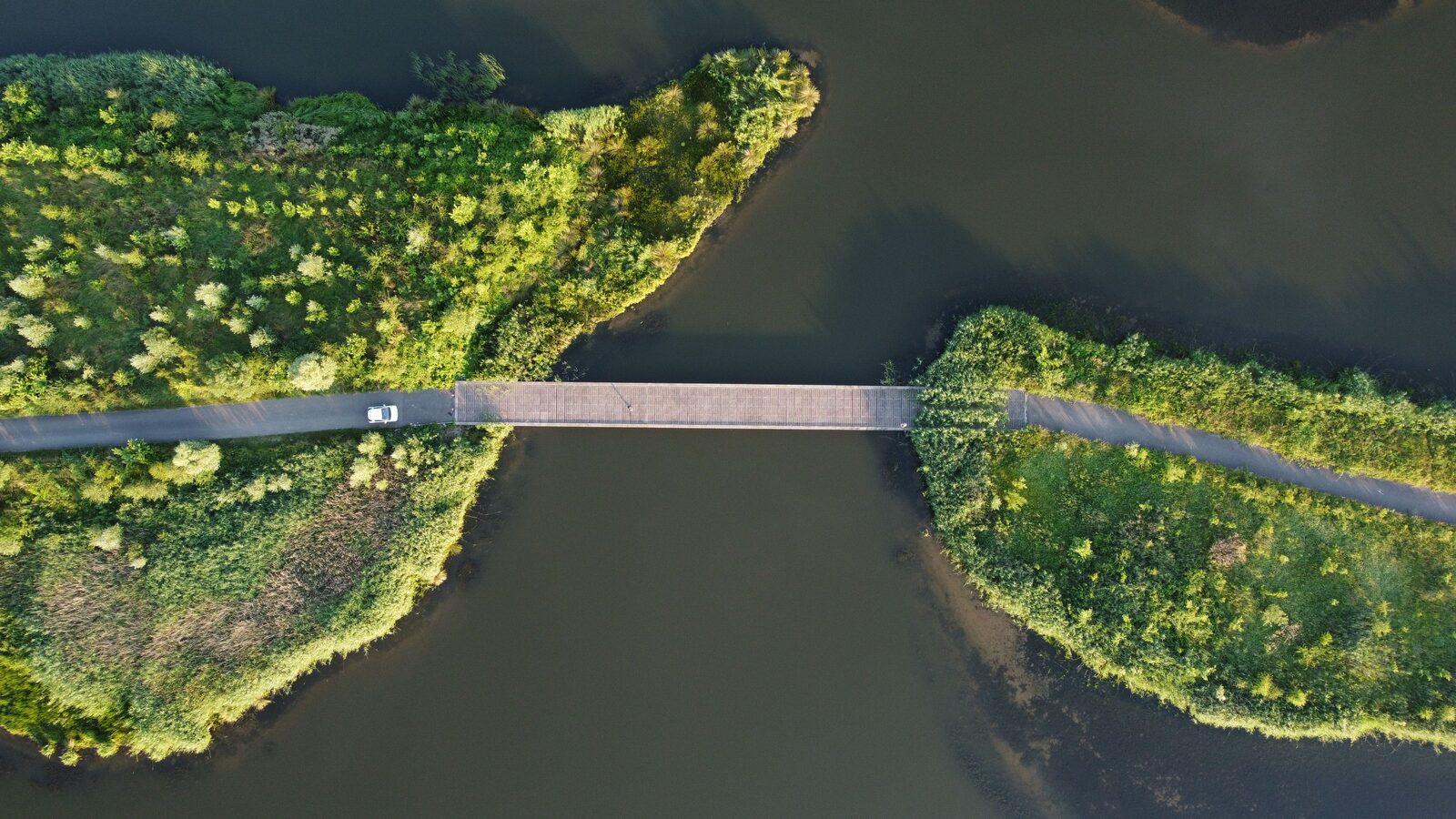 Illustration: the bridge the service provider is permitted to build